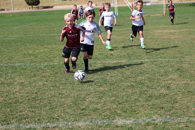 一次竞技体 一次竞技体