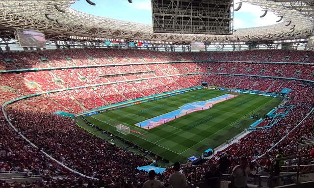 界的明星参 界的明星参