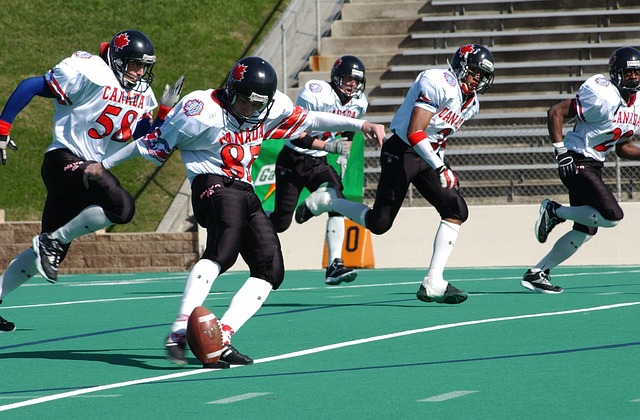 场馆设施 场馆设施